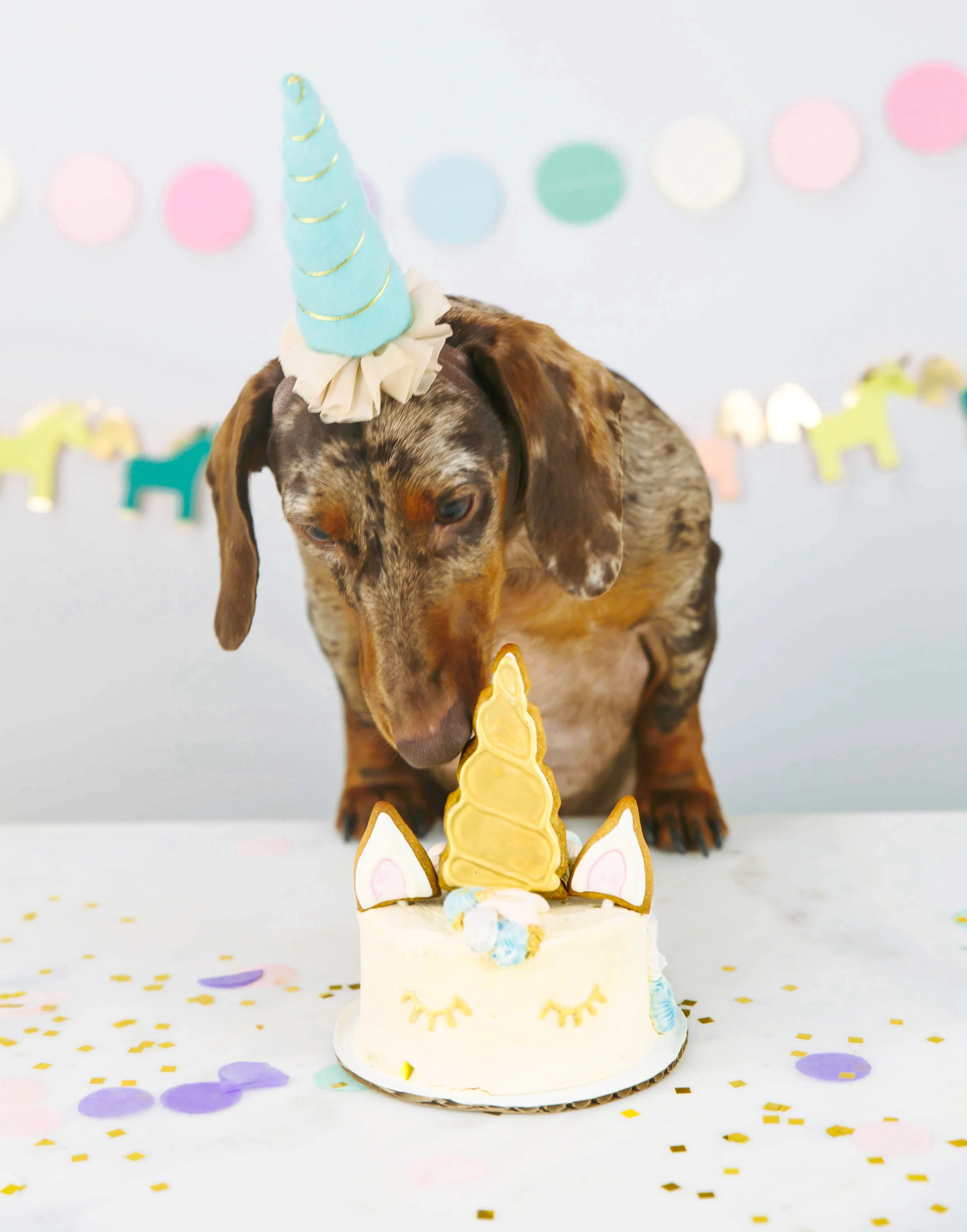 Planning a Unicorn Barkday Party